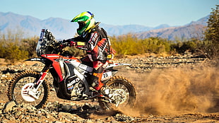 red and white motocross dirt bike, Honda, motocross, Dakar Rally HD wallpaper