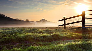 white and brown concrete building, fence, sunlight, landscape, grass