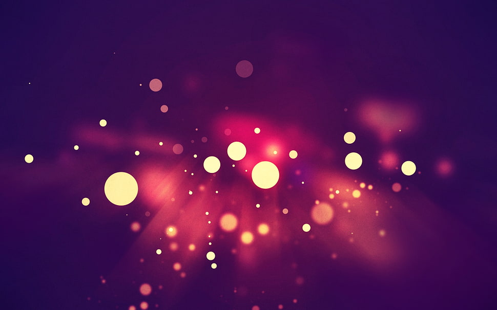 bokeh photography HD wallpaper