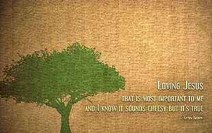 green tree with quote, Stephen Baldwin, Jesus Christ, quote, mythology HD wallpaper