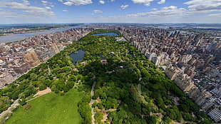 Manhattan Park, New York HD wallpaper