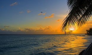 photograph of sunrise, barbados HD wallpaper
