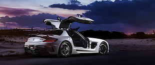 silver coupe, Mercedes-Benz SLS AMG, gull wing door, rear view, car