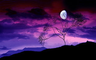 day six progression of moon to new moon under purple sky