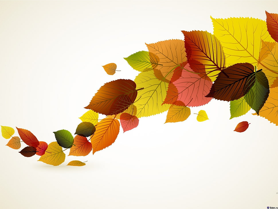 assorted-color leaves illustration HD wallpaper
