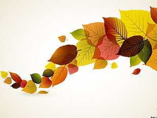 assorted-color leaves illustration