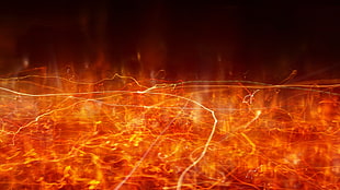 orange abstract illustration