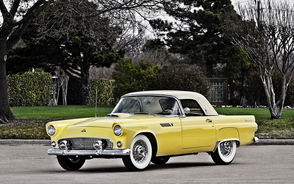 classic yellow coupe on gray concrete road HD wallpaper