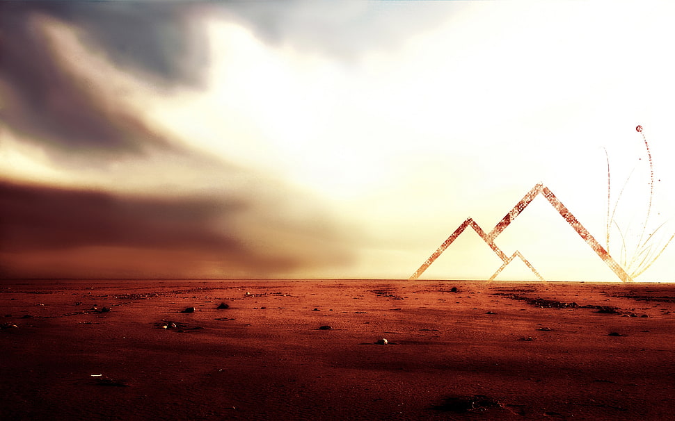 brown field at daytime HD wallpaper