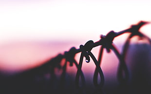 silhouette photography of coiled wire HD wallpaper
