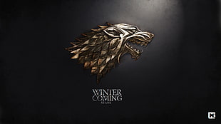 Winter Coming logo HD wallpaper