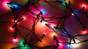 multicolored string lights, lights, christmas lights