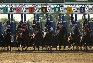 competitors of horse derby at starting point HD wallpaper