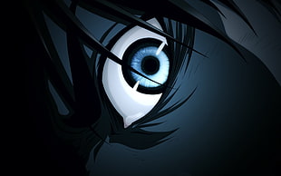 person's eye illustration, Shingeki no Kyojin, anime, Eren Jeager