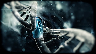 DNA helix illustration HD wallpaper