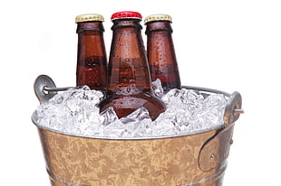 brown beer bottles with ice