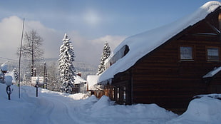 brown wooden house, snow, house, winter