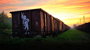 brown steel train cargo, landscape