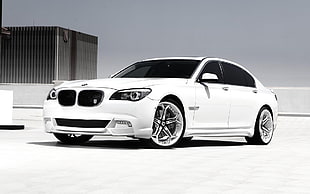 white BMW sedan, BMW, car