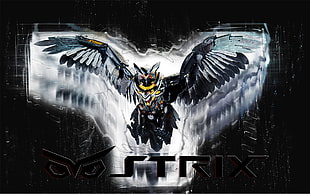 Strix text overlay, owl