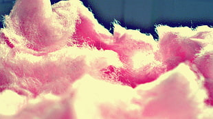 pink cotton candu, photography, cotton candy, pink HD wallpaper