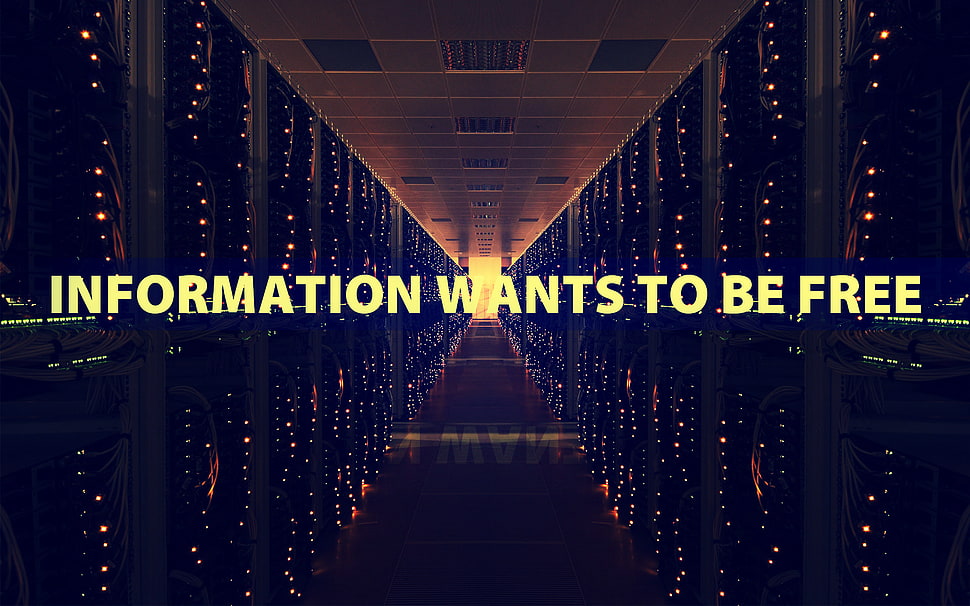 information wants to be free text HD wallpaper