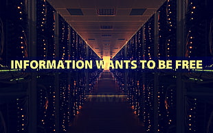 information wants to be free text HD wallpaper