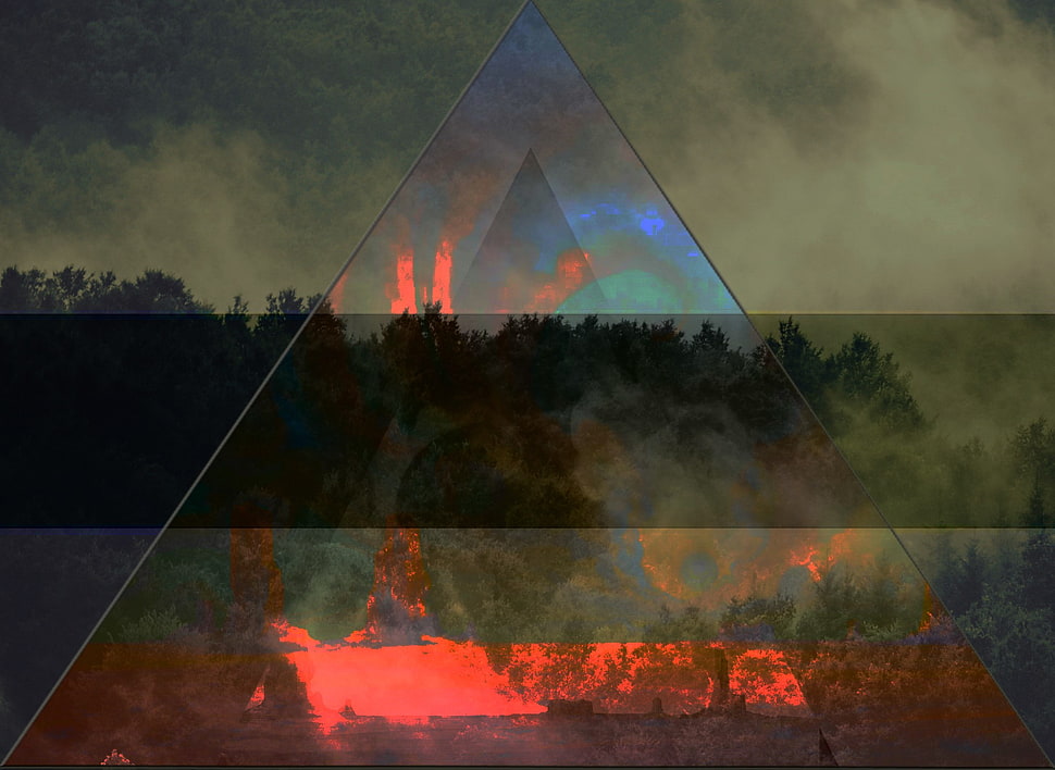 rectangular black framed fish tank, colorful, triangle, forest HD wallpaper