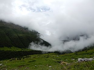 green grass field, clouds, valley, Himalayas