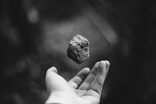 grayscale photo of person catching stone, hands, rock, stones, monochrome
