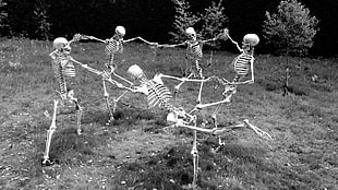 human skeletons in grayscale photography, skeleton, dancing