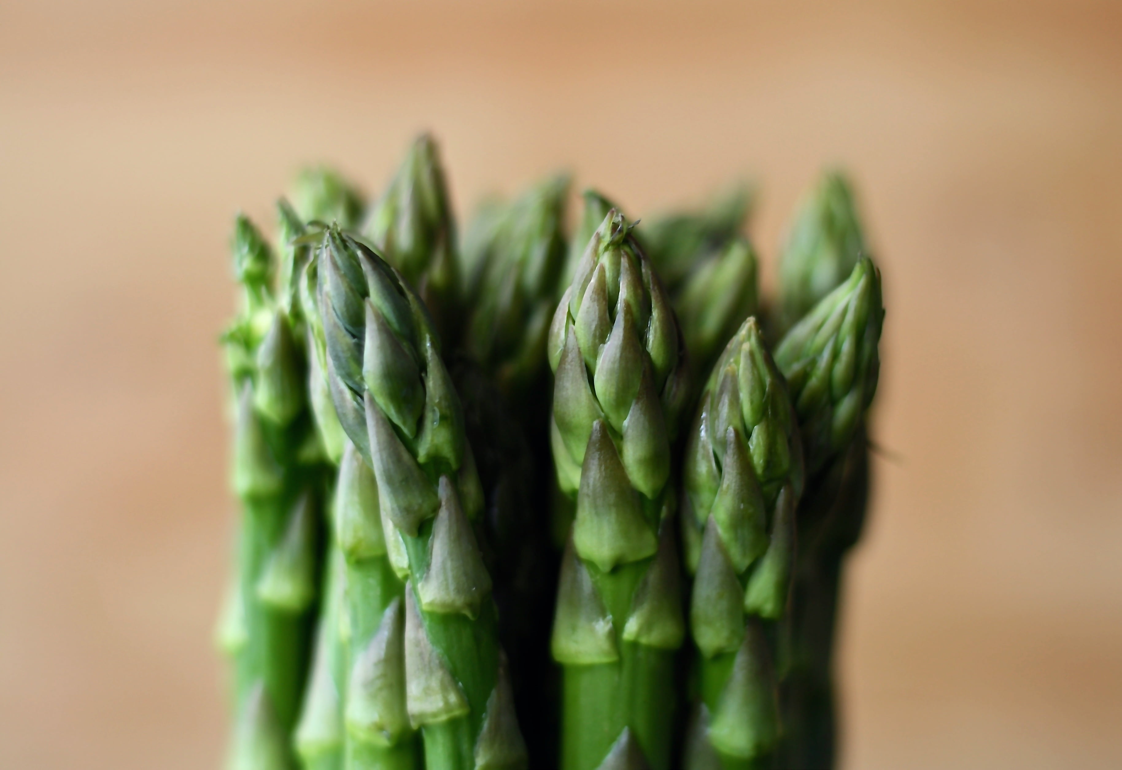 green bamboo shoots, Asparagus, Vegetables, Blur