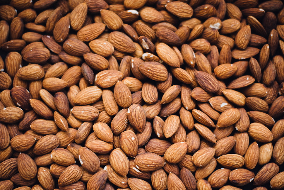 Milan Cathedral, Almonds, Nuts, Core HD wallpaper