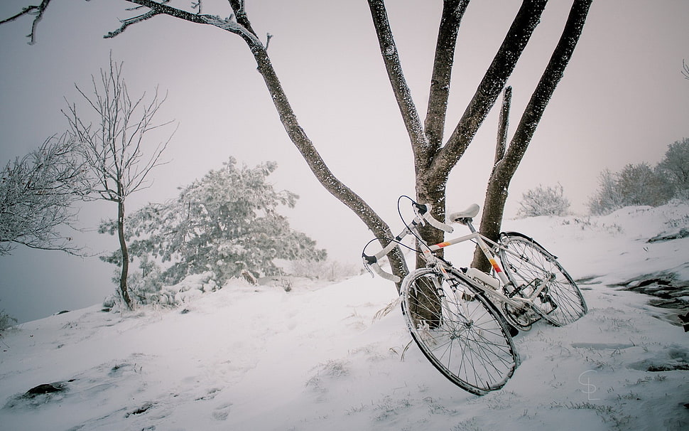 white road bike, bicycle, snow, winter, trees HD wallpaper