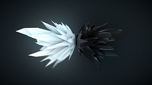 white quartz with black mirror image