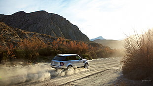 silver SUV, Range Rover, car