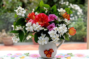 potted red, purple, orange, white, and green petaled flowers