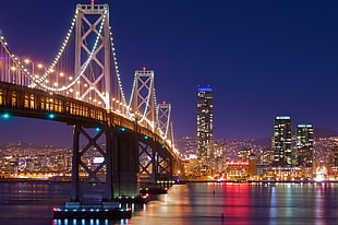 city skyline photo with bridge during nighttime photo HD wallpaper