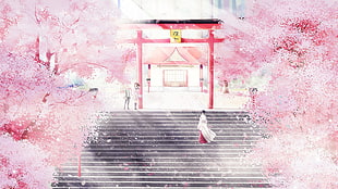 pink cherry blossoms, Noragami, cherry blossom, cherry trees, shrine