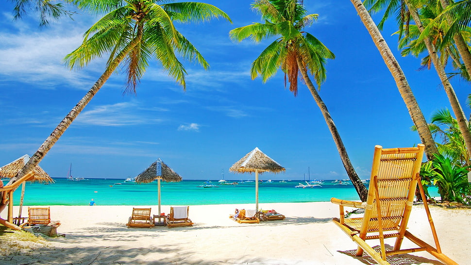 brown beach umbrella, sea, palm trees HD wallpaper