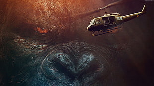 King Kong movie wallpaper HD wallpaper