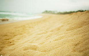 brown beach sand