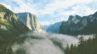 photo of mountains with trees