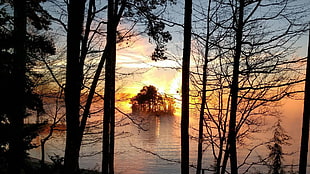 black metal 3-layer rack, Lake Keowee, South Carolina, trees, island
