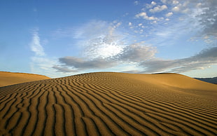 desert, landscape, desert, nature, dune HD wallpaper