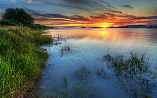 body of water and green grass, lake, sunset