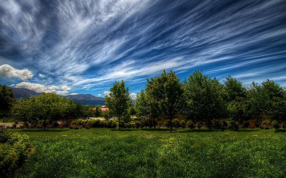 time lapse photography of white clouds above green trees and grass field HD wallpaper