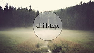 green leafed trees with chillstep text overlay, chillstep, mist, Tatof, music