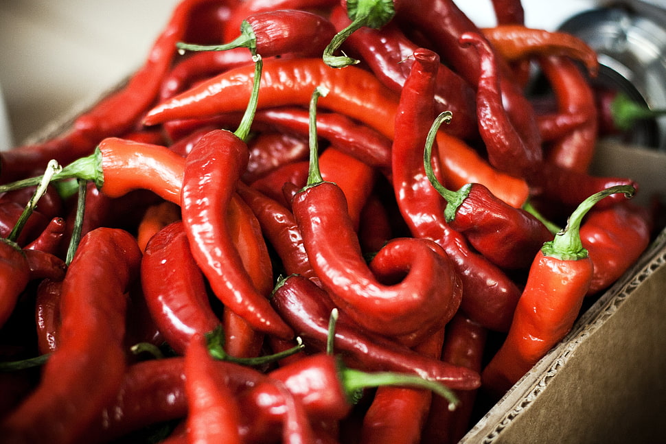box of red chili HD wallpaper