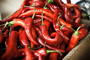 box of red chili